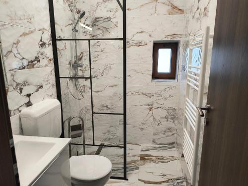 a bathroom with a toilet and a marble wall at Pensiunea Anna in Poplaca