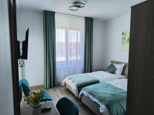 a hotel room with two beds and a window at Pensiunea Anna in Poplaca