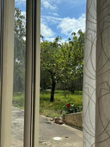 a window with a view of a yard with a tree at Chateau Eck in Cadaujac