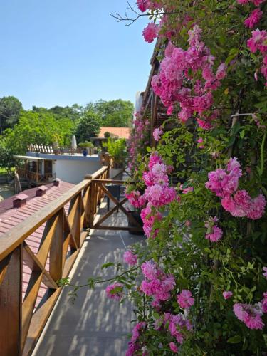 Φωτογραφία από το άλμπουμ του MAVİ AT HOTEL Blue Horse σε Gümüşdere