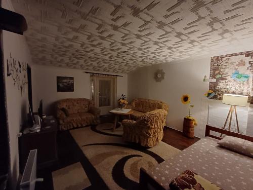 a living room with two chairs and a table at Apartment Relax in Pluzine