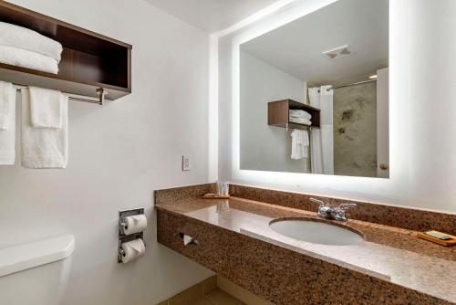 a bathroom with a sink and a mirror at Country Inn & Suites by Radisson, Atlanta Galleria-Ballpark, GA in Atlanta