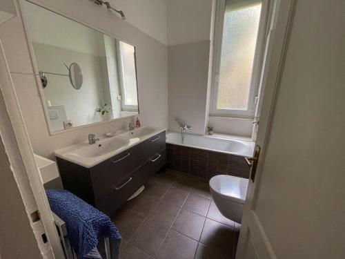 une salle de bain avec un lavabo, des toilettes et un miroir dans l'établissement Appartement de standing 200m², à Strasbourg