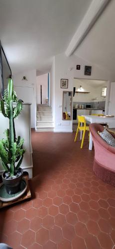 un salon avec un cactus au milieu dans l'établissement La Barca de la vieille ville 2 chambres, à Menton
