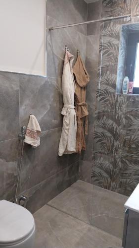 a bathroom with a shower with a toilet and towels at Il Calice dell'Etna in Passopisciaro