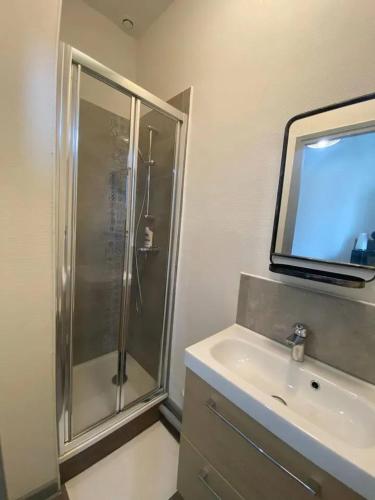une salle de bain avec douche et lavabo dans l'établissement Appartement charmant à Vichy, 28 m², parking inclus, à Vichy