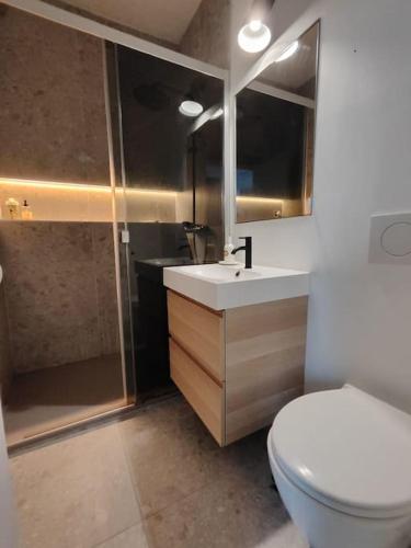 une salle de bain avec toilettes, lavabo et douche dans l'établissement les Lices, à Angers