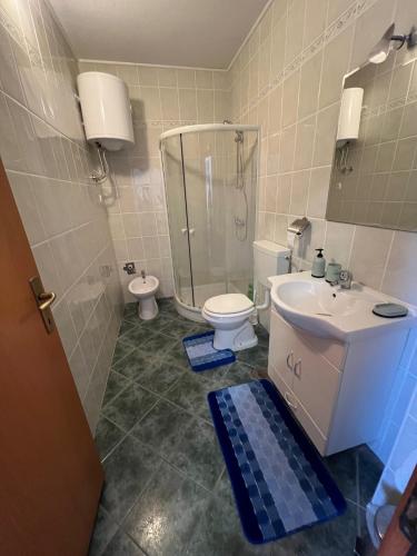 a bathroom with a sink and a toilet and a shower at Guest House Laura in Crveni Vrh
