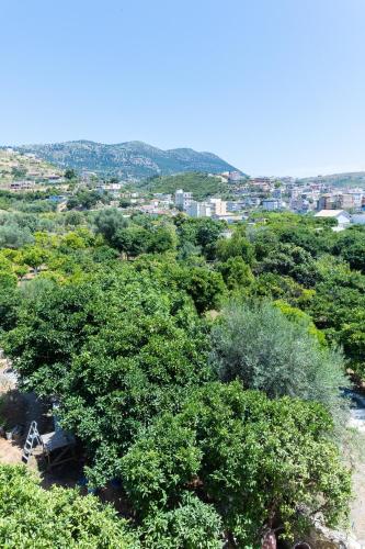 a group of trees with a city in the background at De Sol in Himare