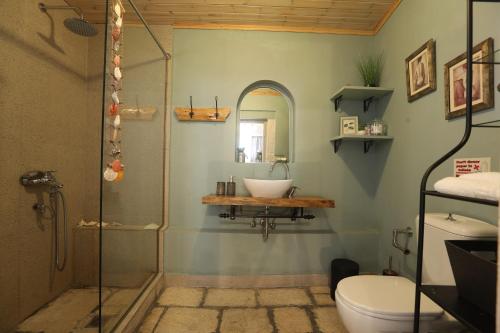 W łazience znajduje się prysznic, umywalka i toaleta. w obiekcie Joannas Sea-View Stone House w mieście Katávolos