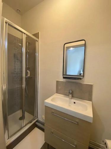 une salle de bain avec un lavabo, une douche et un miroir dans l'établissement Appartement cosy centre-ville Vichy, 23 m², proche thermes, à Vichy