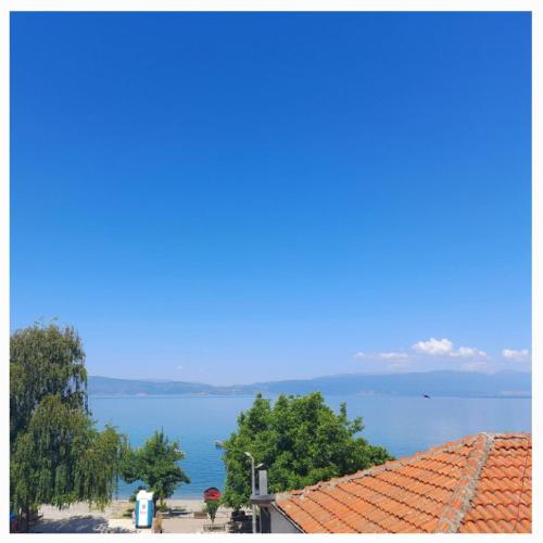 Φωτογραφία από το άλμπουμ του Villa Chaloski σε Peštani