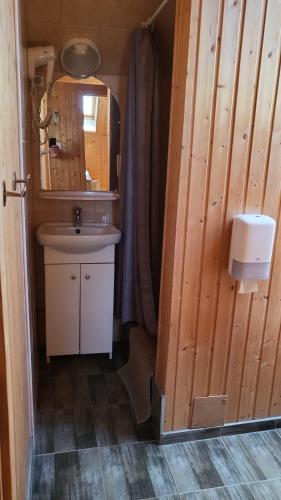a bathroom with a sink and a mirror at Villa Nova in Hévíz