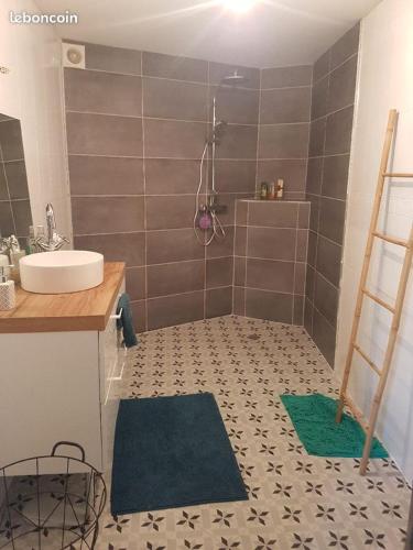 une salle de bain avec un lavabo et une douche dans l'établissement Longère La Grange, à Andrivaux