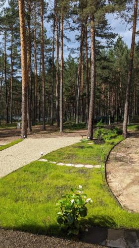 Gallery image of Pine forest house 7 in Gauja
