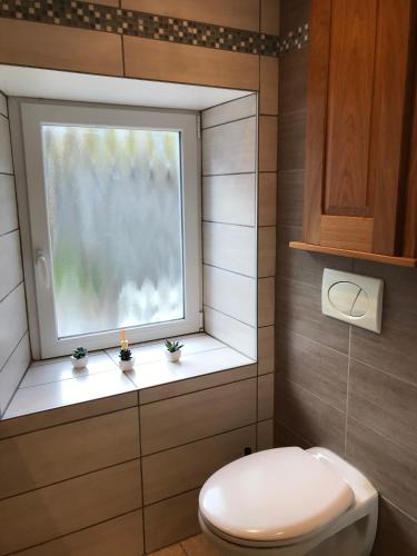 une salle de bain avec toilettes et fenêtre dans l'établissement Le Petit Eterlou, à Gérardmer