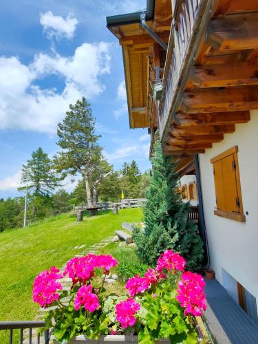 Zahrada ubytování Rifugio Predaia Ai Todes'ci