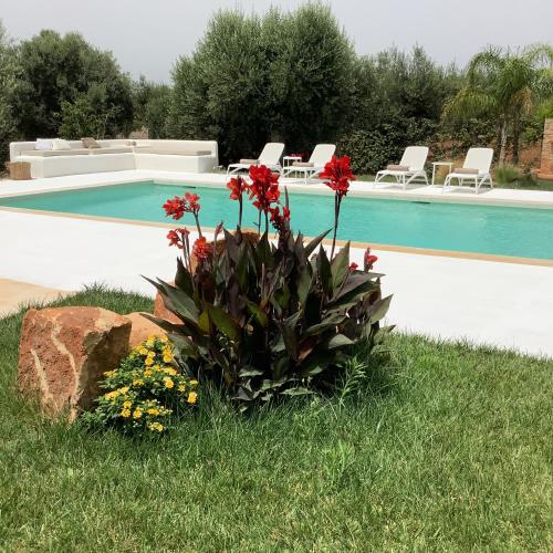 Piscina di AD&DIMORE L'ANTICO TRULLO o nelle vicinanze