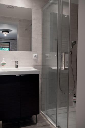 a bathroom with a glass shower and a sink at Zatrzymaj się u Nas-Dom na wyłączność, 12 osób, kominek, jacuzzi zewnętrzne, sauna, cisza in Pawłów