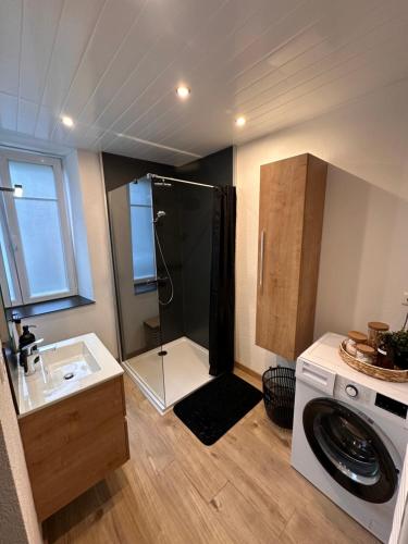 a bathroom with a shower and a washing machine at Appartement T2 La Belle Epoque in Morteau