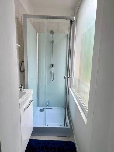 une salle de bain avec douche et lavabo dans l'établissement Studio douillet en hyper centre, à Valenciennes