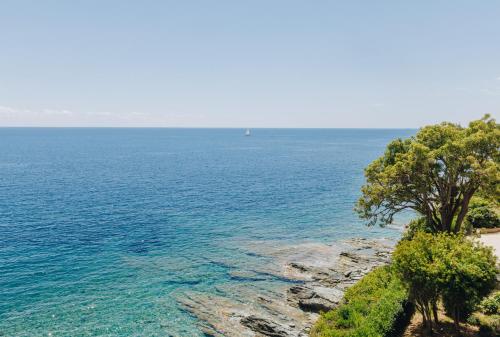 a view of the ocean with trees and a beach at Alivi in Bastia