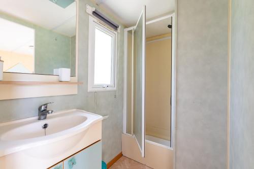 a bathroom with a sink and a mirror at L'héberge du lac d'Isachris mh4 in Queyrac