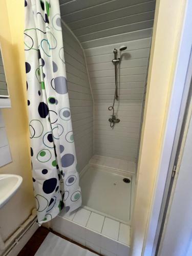 une douche dans une petite salle de bain avec un rideau de douche dans l'établissement Appt 2 pcs st Quentin Centre, à Saint-Quentin
