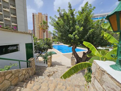 Apartamento Girasol 4 IF Benidorm