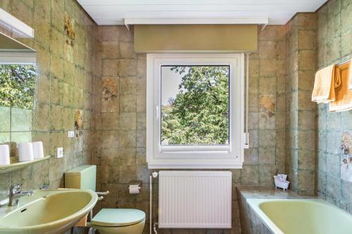 a bathroom with a sink toilet and a window at Grashüpfer Plus bis 6 Pers in Freiensteinau