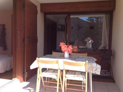 Appartement cosy 2 pièces, 5 pers, animaux, parking