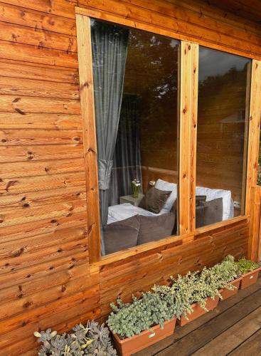 Imagen de la galería de Thoma's hut-თომას ქოხი, en Batumi