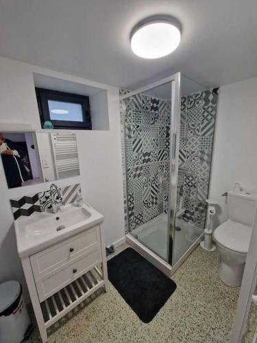 une salle de bain avec une douche, un lavabo et des toilettes dans l'établissement Gite Chez Henry, à Les Epsailles