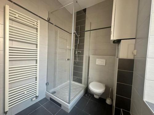 une salle de bain avec douche et toilettes dans l'établissement #Aujé - Appart Mulhouse Centre, à Mulhouse