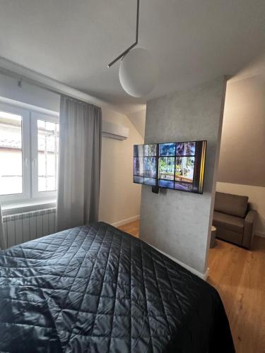 TV a/nebo společenská místnost v ubytování Apartamenty Św Stanisława