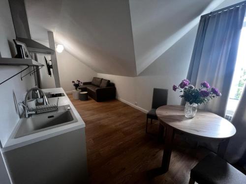 Kuchyň nebo kuchyňský kout v ubytování Apartamenty Św Stanisława