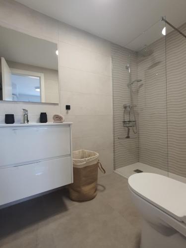 カサーレスにあるCasa Alinaの洗面台、トイレ、シャワー付きのバスルーム