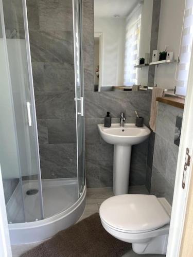 a bathroom with a toilet and a sink and a shower at Spacious Luxury countryside retreat in Estry
