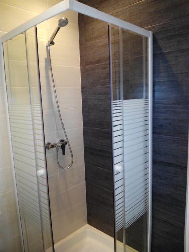 a shower with a glass door in a bathroom at Pensión Entreviñas in Logroño