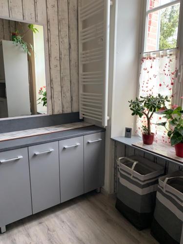 La salle de bains est pourvue de placards blancs et d'un miroir. dans l'établissement Chambres nature chez le particulier, à Courgenay