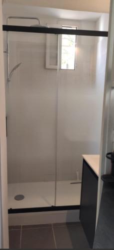 une douche dans une salle de bain avec une porte vitrée dans l'établissement appartement proche centre ville, à Nice
