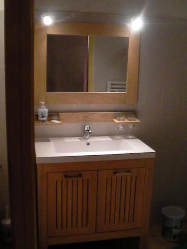 une salle de bain avec un lavabo et un miroir dans l'établissement Appartement indépendant dans mas, à Arles