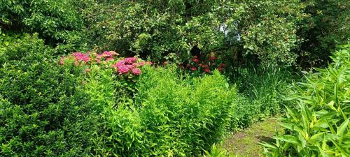 Jardín al aire libre en BLISS - Gate to the Flemish Ardens