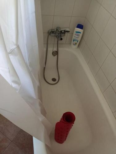a shower in a bathroom with a red cup at Finca Rústica La Palmera in Utrera