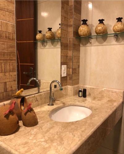 a bathroom counter with a sink and a mirror at Nega Joana in Araruna