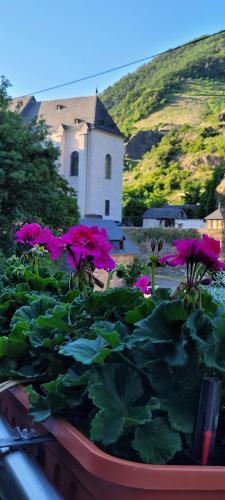 a planter filled with pink flowers in front of a building at Im Beilsteiner Mühlental in Beilstein