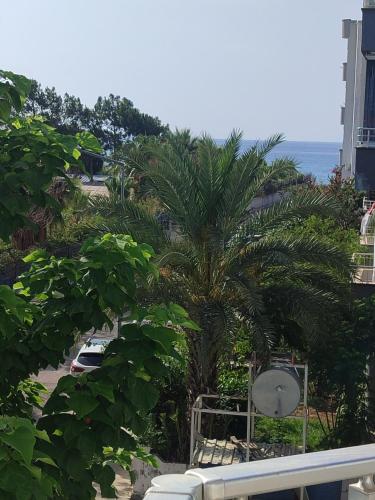 Landskap semula jadi dekat dengan hotel