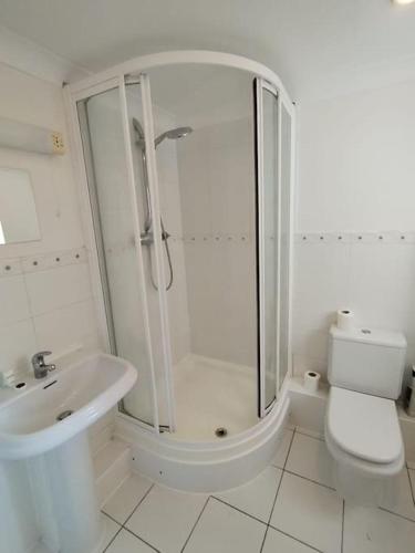 a bathroom with a shower and a toilet and a sink at Haven With Patio in Basingstoke