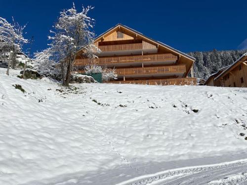 Ferme de Suzanne 9 - T4 avec vue surplombant la station