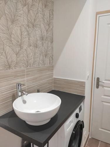 une salle de bain avec un lavabo et une machine à laver dans l'établissement Rez de chaussée Gambetta, à Roanne